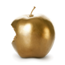 AutoIngest Icon